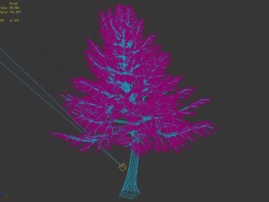 sennard - evergreen 31 Modelo 3D