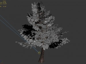 sennard - evergreen 31 Modelo 3D