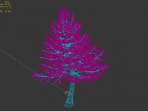 cincinnati - evergreen 3D Model