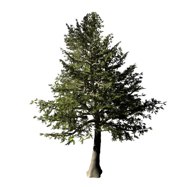chennault - evergreen 33 Model 3D .c4d .max .obj .3ds .fbx .stl .blend 