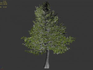 chennault - evergreen 33 Model 3D