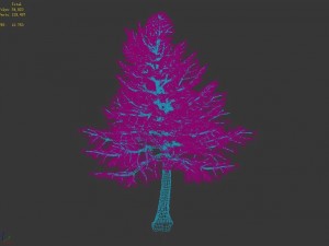 sennard - evergreen 35 3D Модель