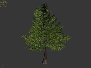 sennard - evergreen 35 3D Model