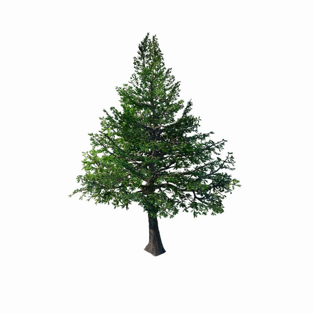 chennault - evergreen 36 3D Model .c4d .max .obj .3ds .fbx .stl .blend 