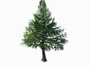 chennault - evergreen 36 3D 모델
