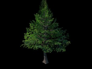 chennault - evergreen 36 Modello 3D