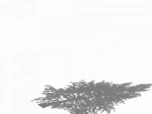 chennault - evergreen 36 3D Model