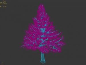 chennault - evergreen 36 Modello 3D