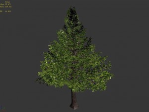chennault - evergreen 36 Modello 3D