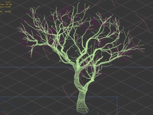 sennard - deciduous tree 3 3D Model