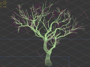 sennard - deciduous tree 3 3D Model