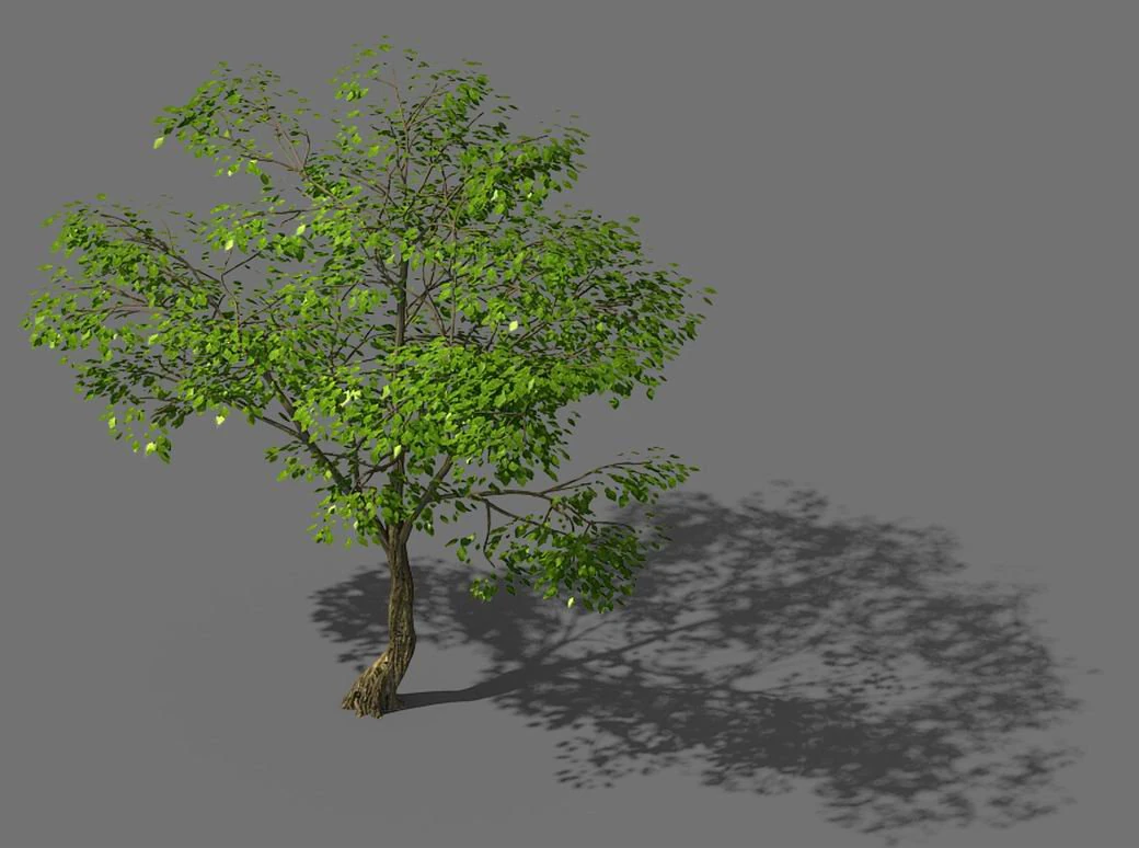 new village - landscape tree 01 3D Model .c4d .max .obj .3ds .fbx .stl .blend 
