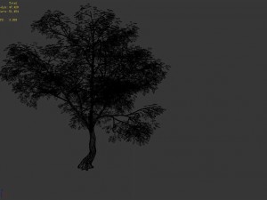 new village - landscape tree 01 3D Model