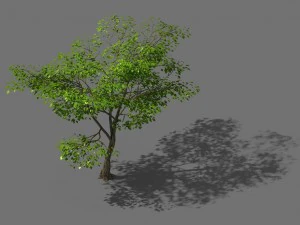 нове село - пейзаж 02 3D Модель