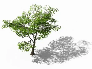 new village - landscape 02 3D Model