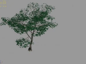 new village - landscape 02 3D Model