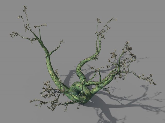 new village - ornamental tree 01 3D Model .c4d .max .obj .3ds .fbx .stl .blend 