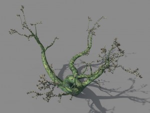new village - ornamental tree 01 3D 모델