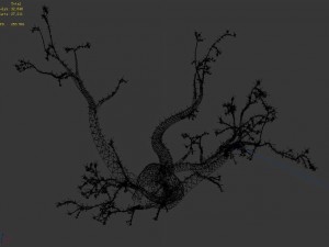 new village - ornamental tree 01 3D Model