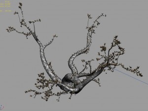 new village - ornamental tree 01 3D Model