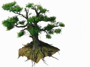 new village - tree viewing 04 Modello 3D