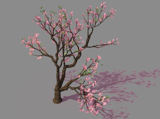 new village - peach 01 3D Model .c4d .max .obj .3ds .fbx .stl .blend 