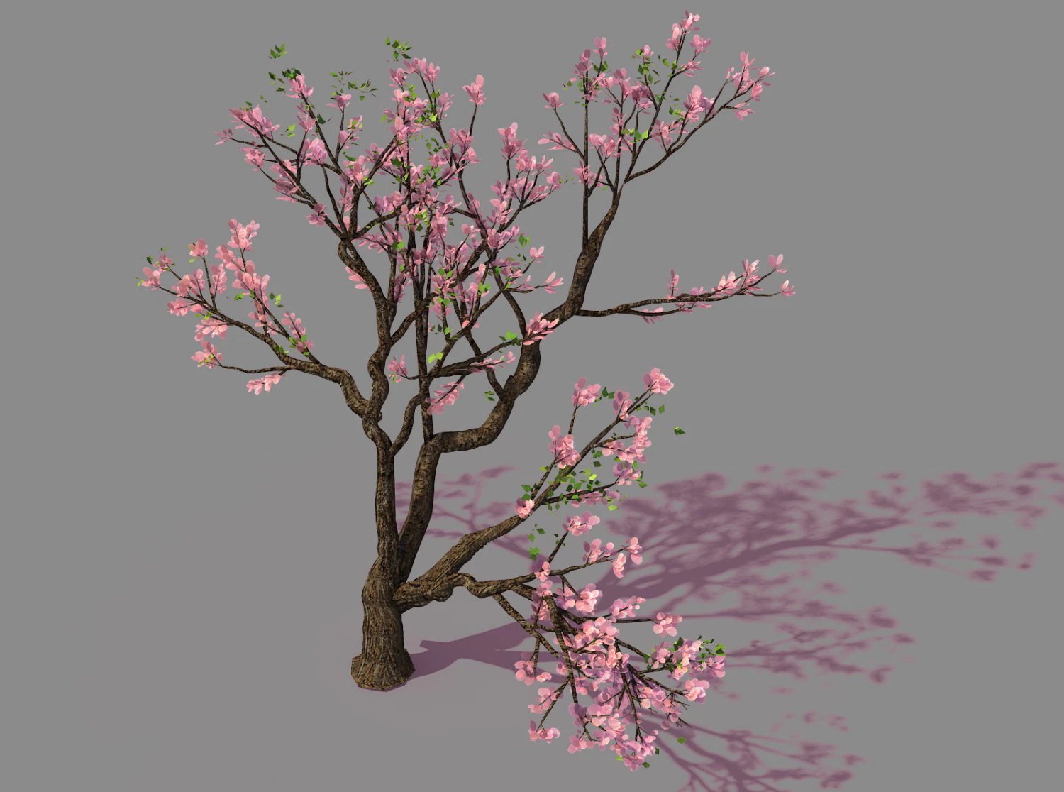 new village - peach 01 3D Model .c4d .max .obj .3ds .fbx .stl .blend