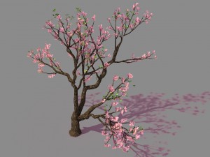 new village - peach 01 3D Model