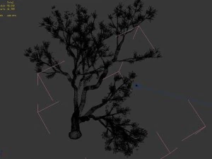 new village - peach 01 3D Model