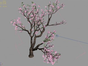 new village - peach 01 3D Model