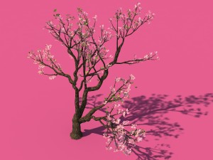new village - peach 01 3D Model