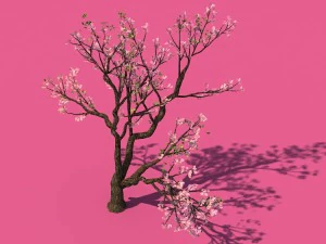 new village - peach 01 3D Model