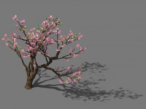 new village - peach 02 3D 모델