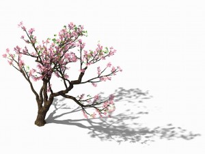 new village - peach 02 Modèle 3D