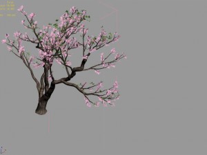 new village - peach 02 Modèle 3D