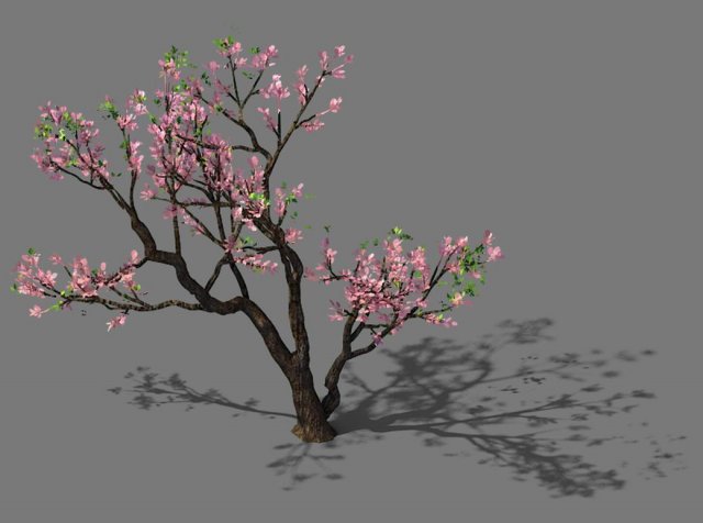 new village - peach 03 3D Model .c4d .max .obj .3ds .fbx .stl .blend