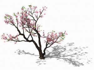 new village - peach 03 3D Model