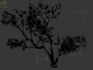 new village - peach 03 3D Model