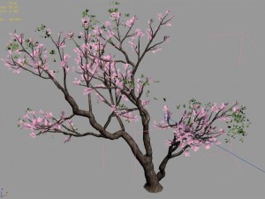 new village - peach 03 3D Model