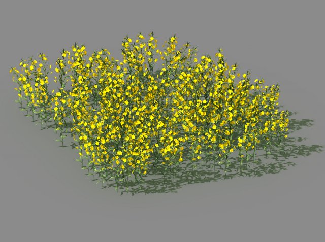 new village - rape field 3D Model .c4d .max .obj .3ds .fbx .stl .blend