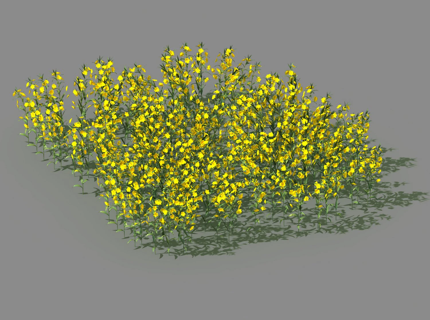 new village - rape field 3D Model .c4d .max .obj .3ds .fbx .stl .blend