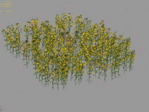 new village - rape field 3D Model