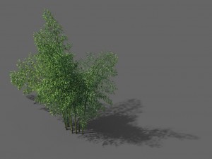 new village - bamboo forest 01 3D मॉडल