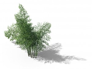 new village - bamboo forest 01 Modelo 3D