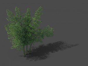 new village - bamboo forest 02 Model 3D