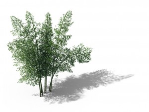 new village - bamboo forest 02 3D मॉडल