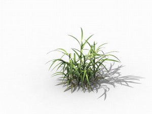 brutal tribal - grass 03 Modelo 3D