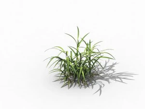brutal tribal - grass 03 3D Model