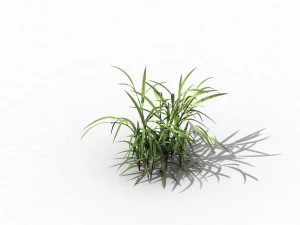 brutal tribal - grass 03 3D Model
