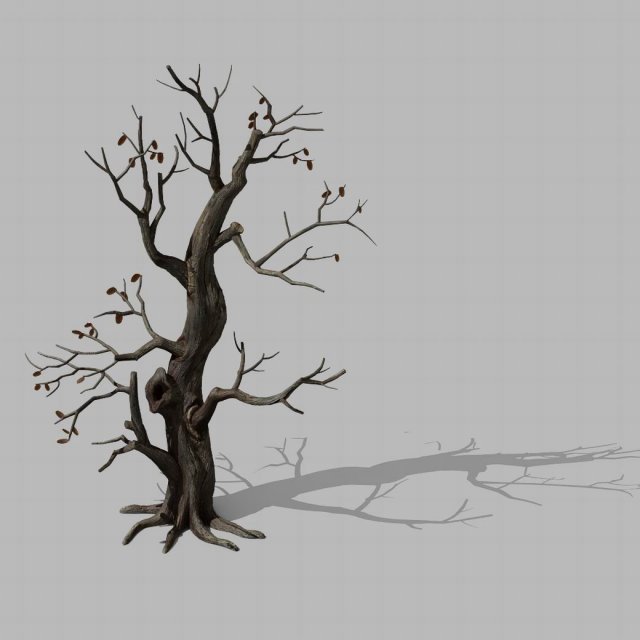 brutal tribe - withered tree 01 3D Model .c4d .max .obj .3ds .fbx .stl .blend